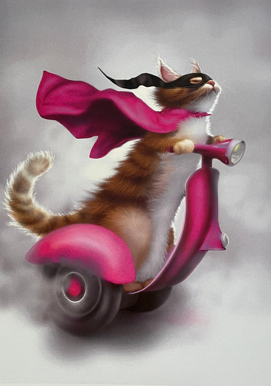 Freedom!!!